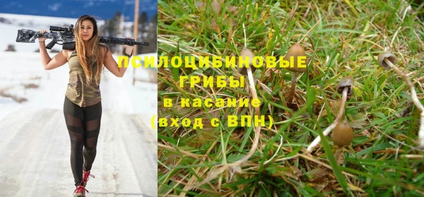 гидра Краснотурьинск
