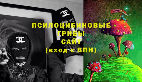 прущие крисы Горнозаводск