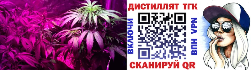 купить   Плавск  ТГК жижа 